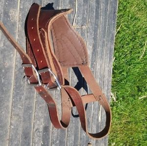 Leather cribbing collar